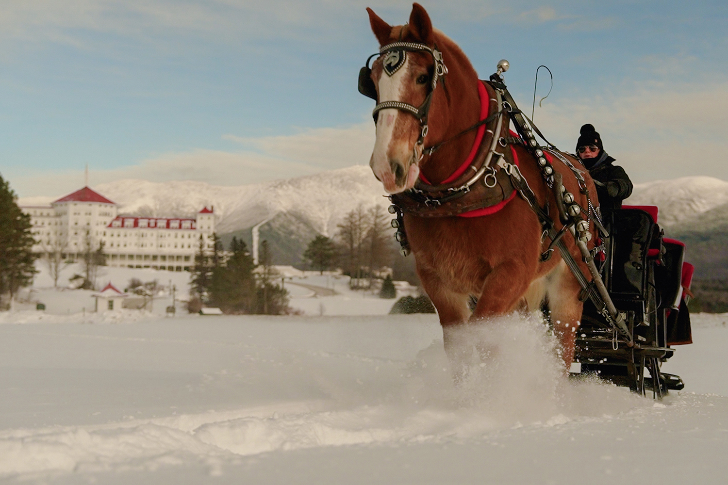 Omni Mount Washington Resort sleigh ride winter