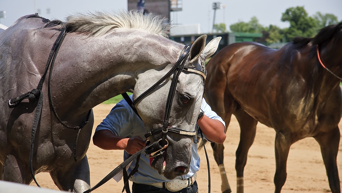 Horse racing