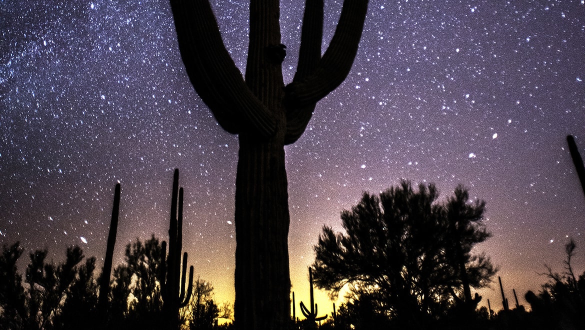 Desert stars