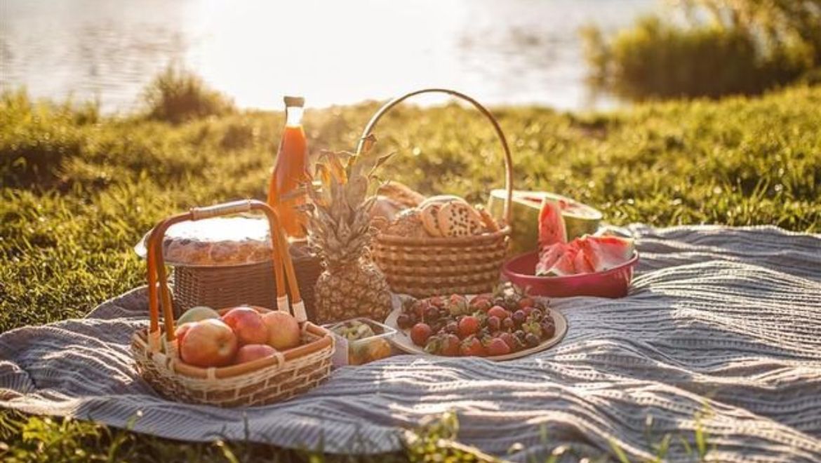 Picnic set up