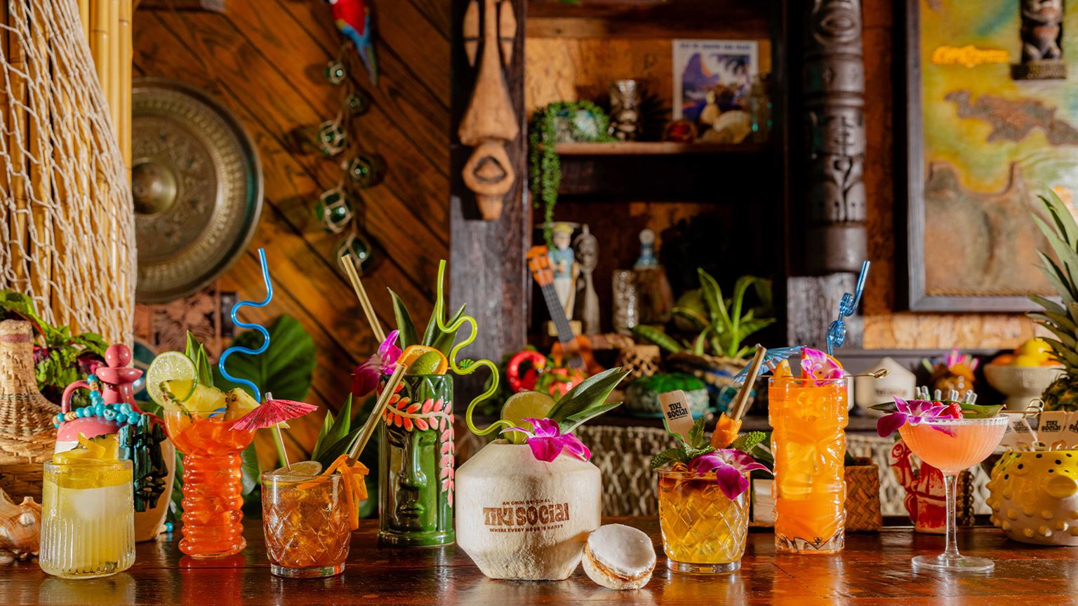 layed out bar drinks 
