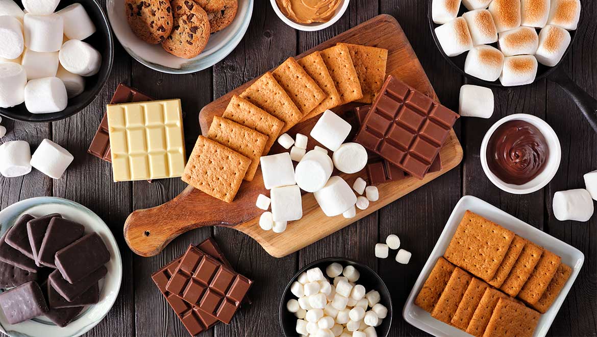 Smores Picnic In The Park