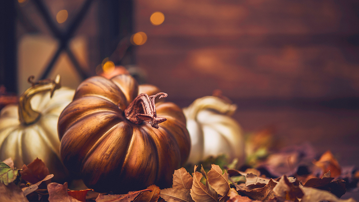 Pumpkins resting on fall leaves