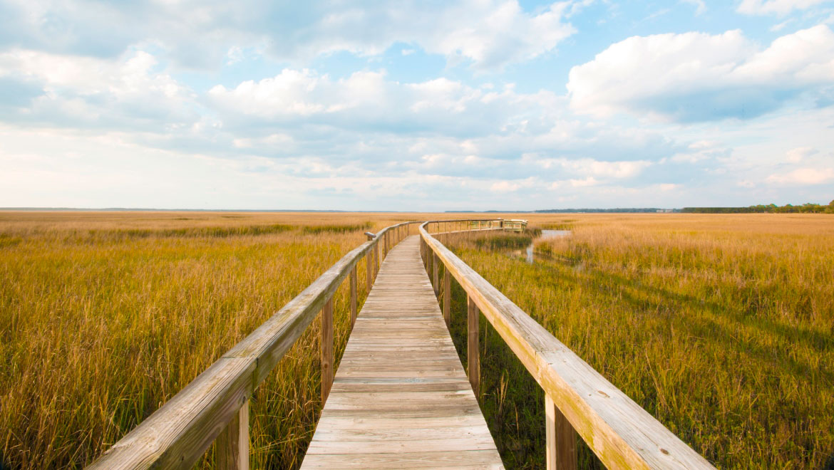 Boardwalk at  