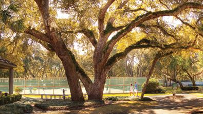 Tennis at  