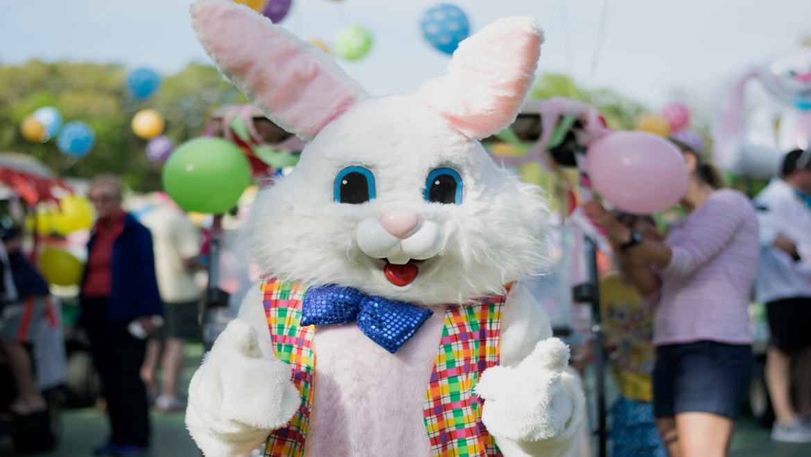 Easter Bunny at  