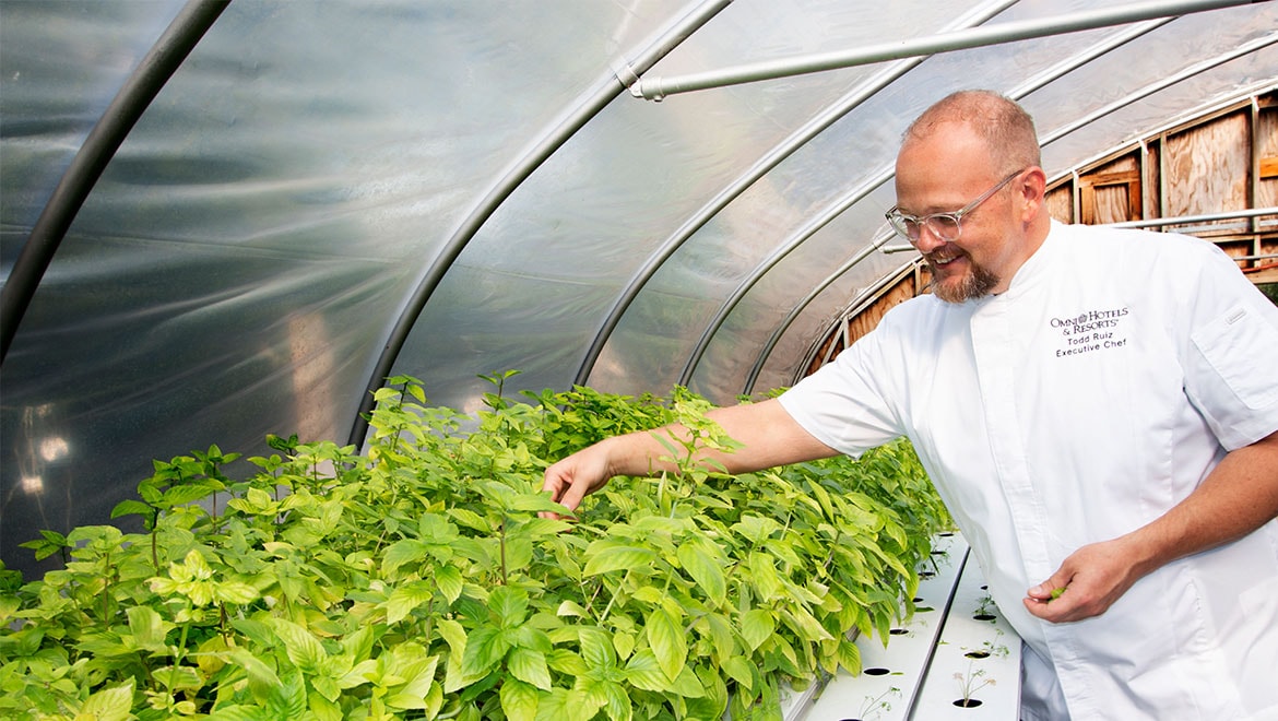 Chef Todd in The Sprouting Project