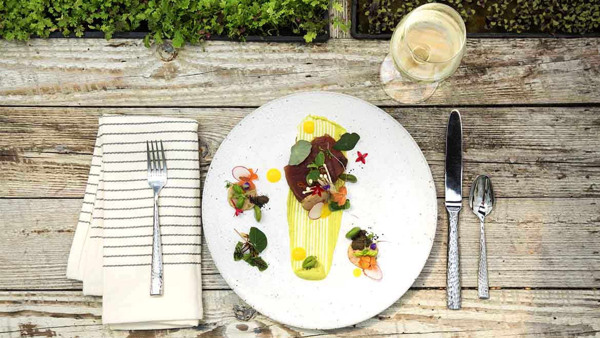 Sprouting Project Dinner