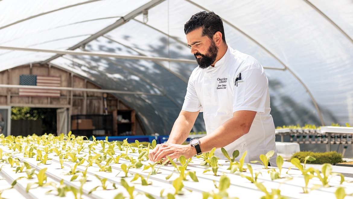 Chef Omar Picking Herbs at The Sprouting Project