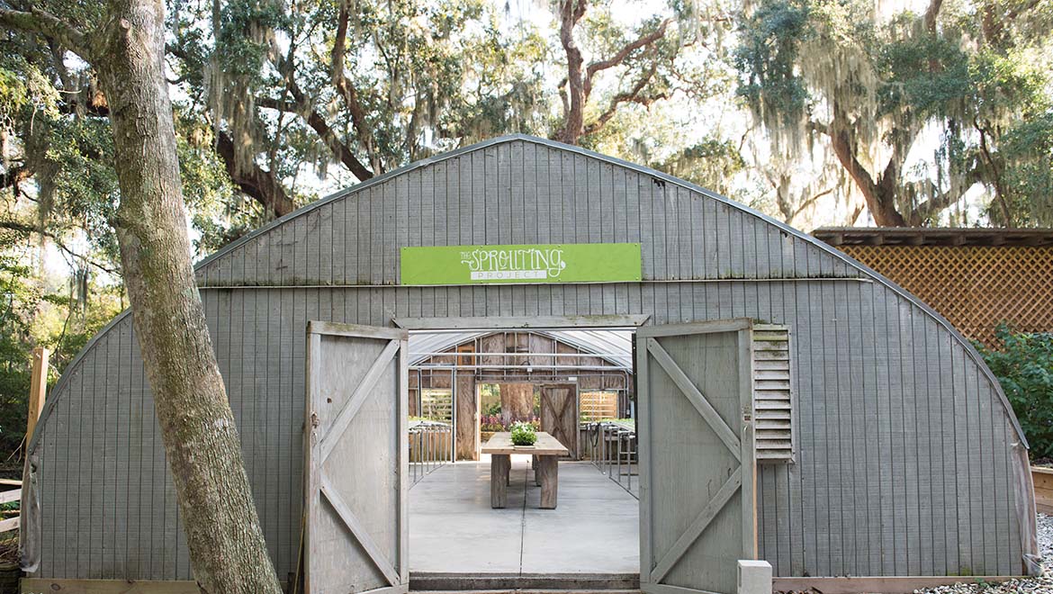 Sprouting Project Greenhouse