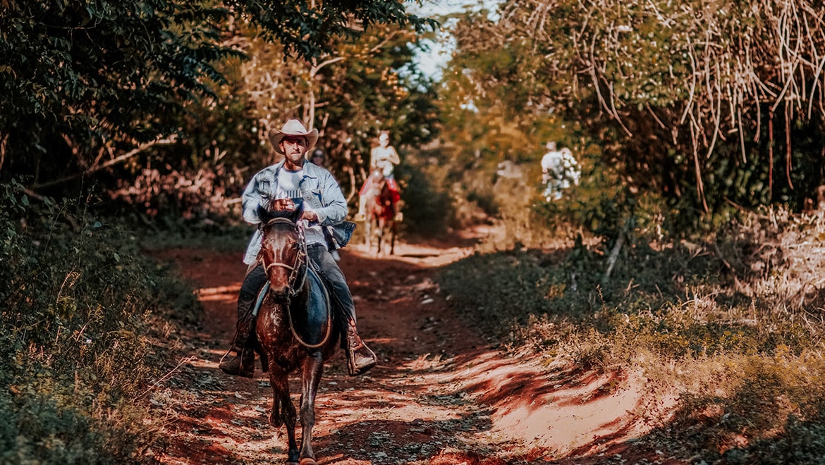 Horse back riders
