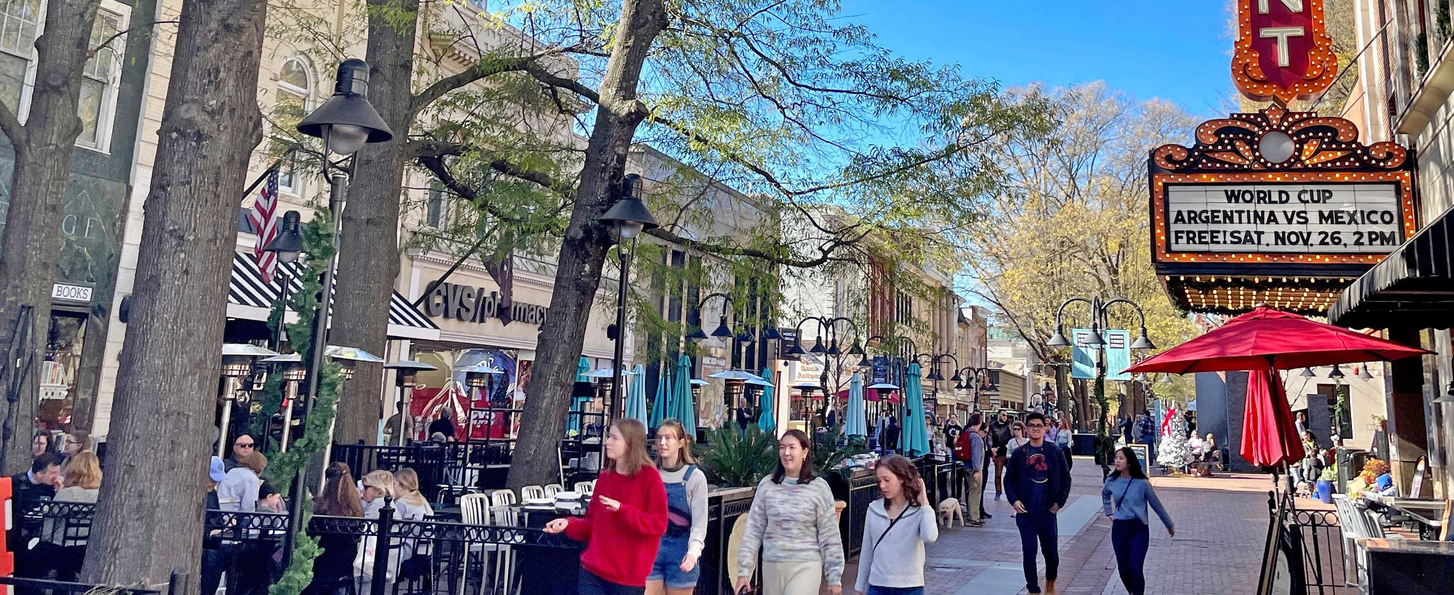 View of downtown Charlottesville.