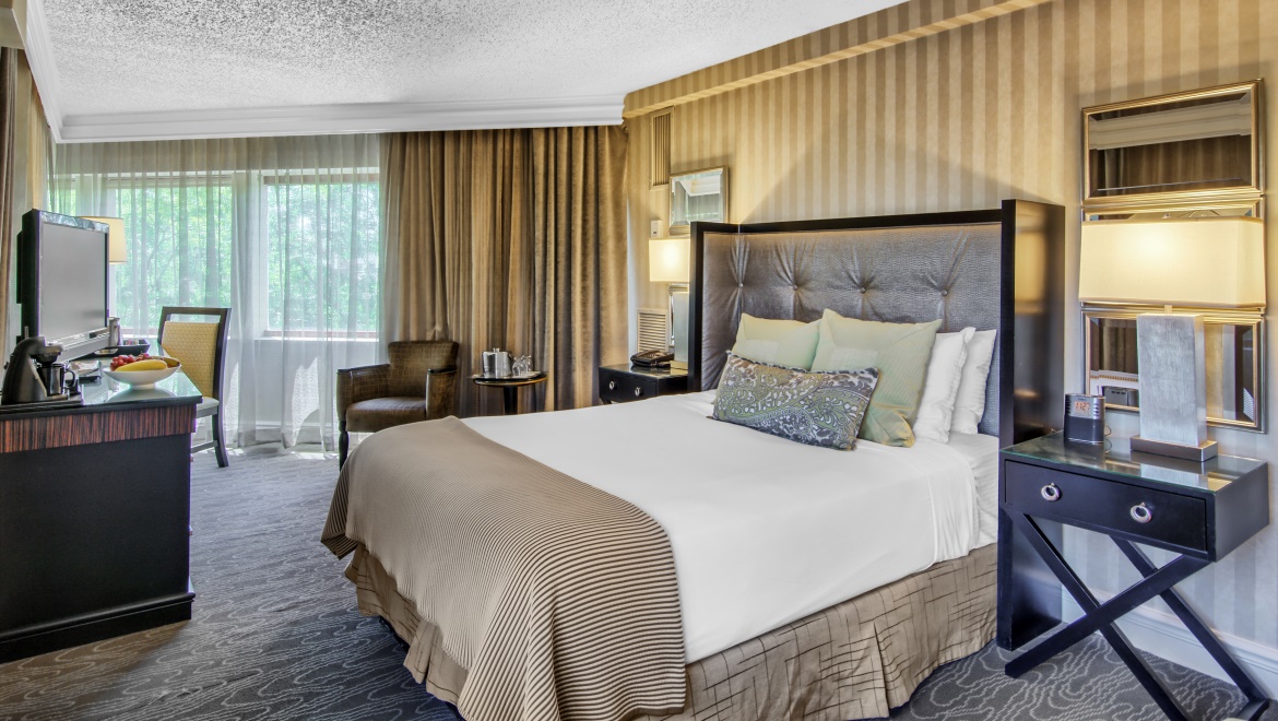 Deluxe Queen Guest Room