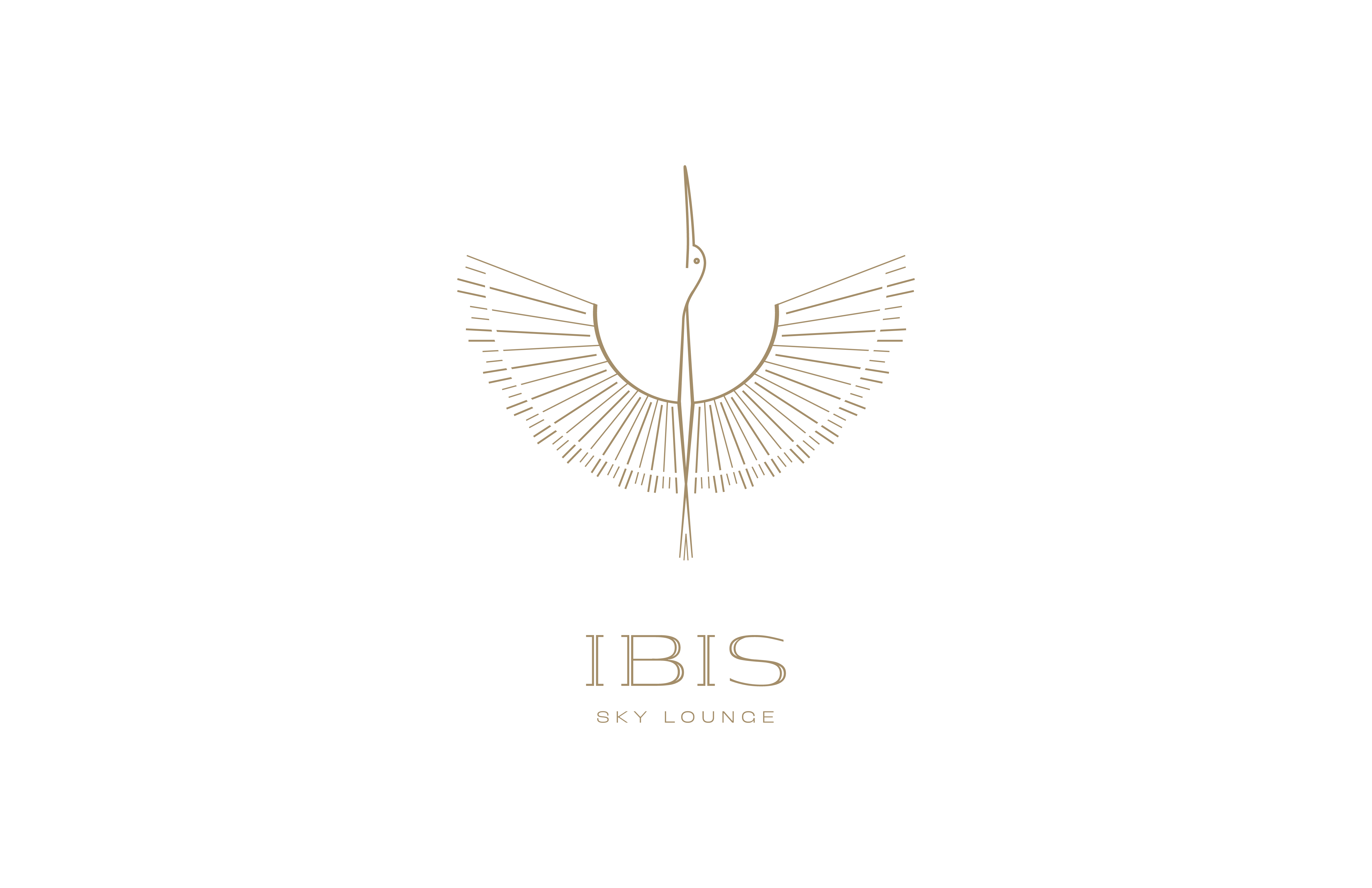 Ibis Sky Lounge logo
