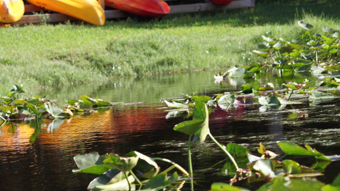 View of pond and canoes.