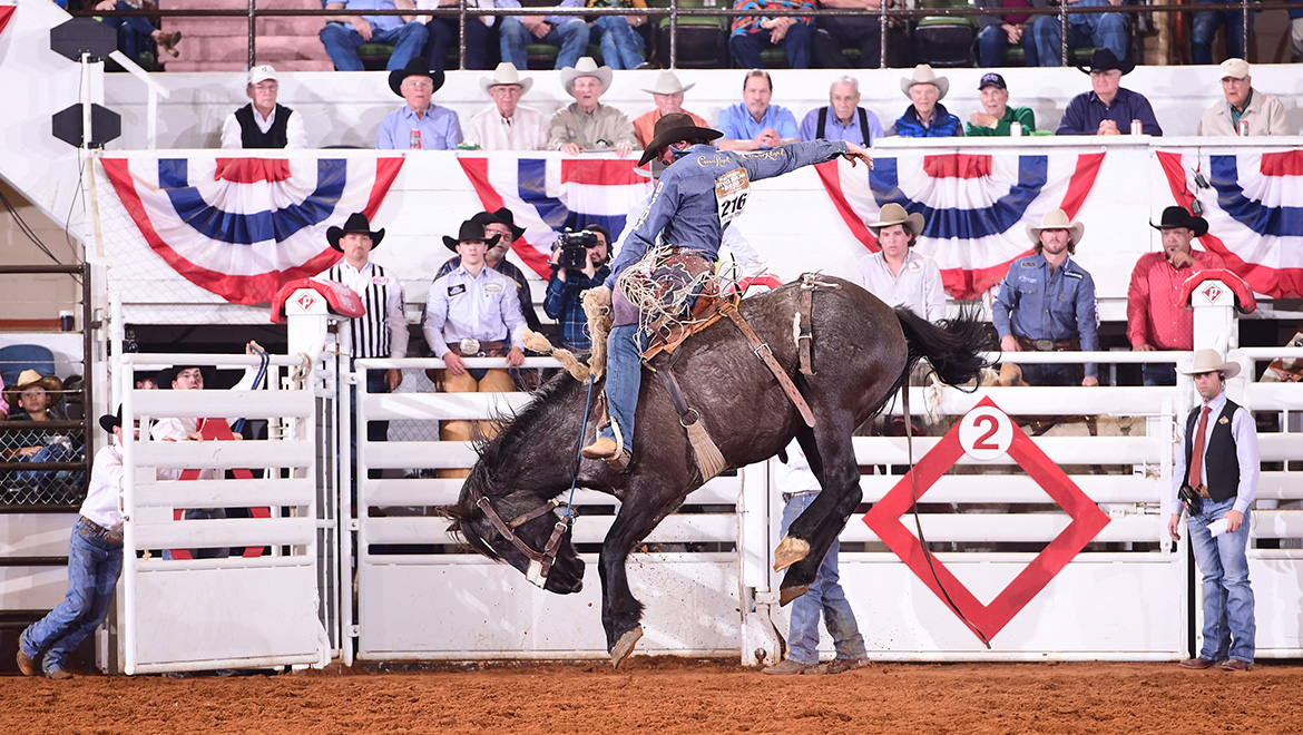Rodeo
