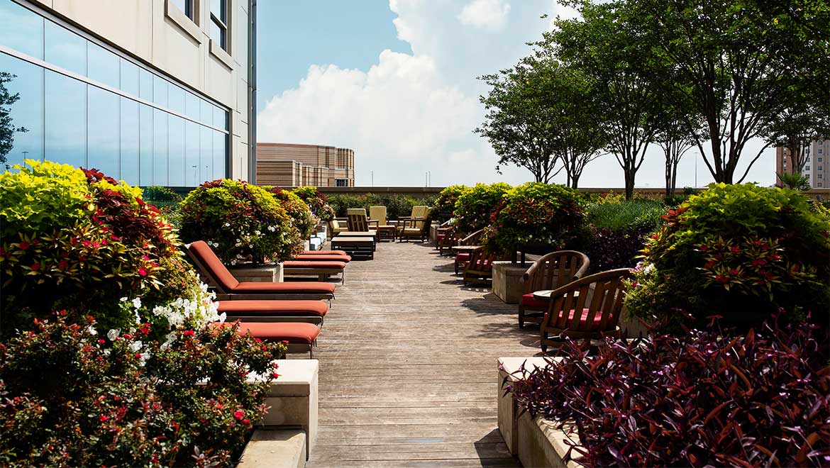 Terrace