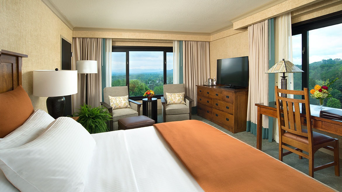 King room with view.