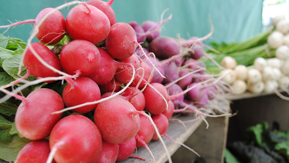 Fresh seasonal produce at the locals Farmer's Market