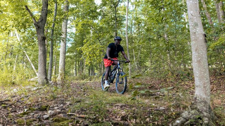 Person mountain biking