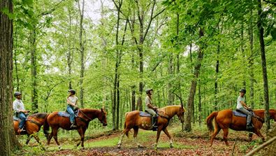 Family horseback riding