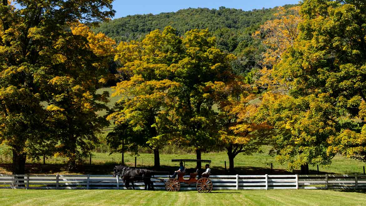 Horse drawn carraige