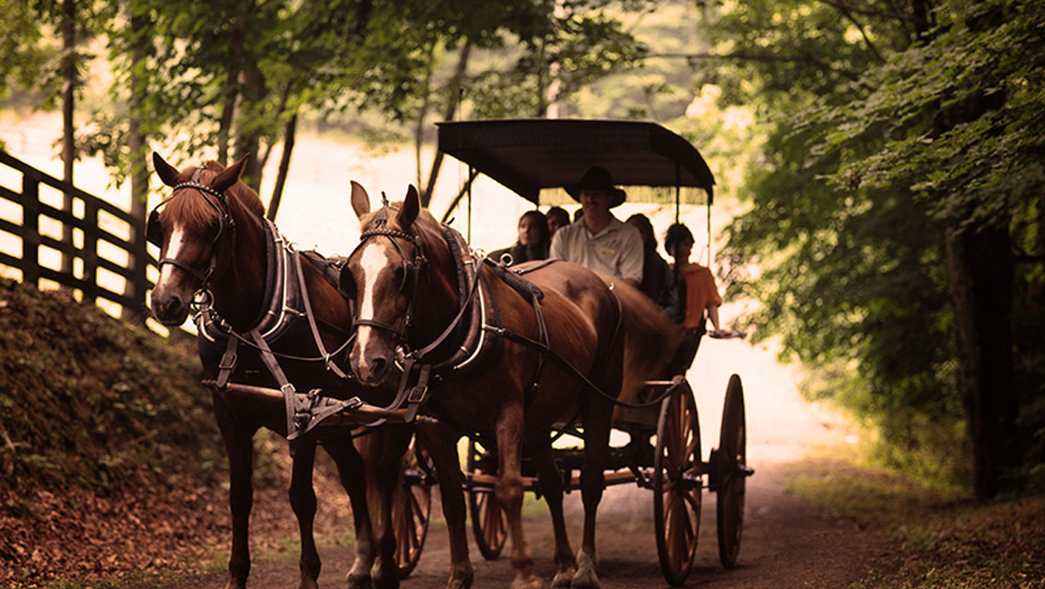 Horse carriage ride in Hot Springs 