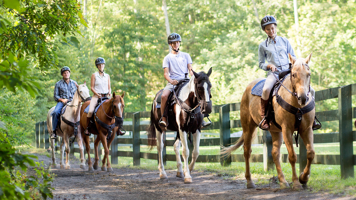 horseback riding