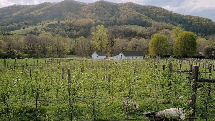 View of a field.
