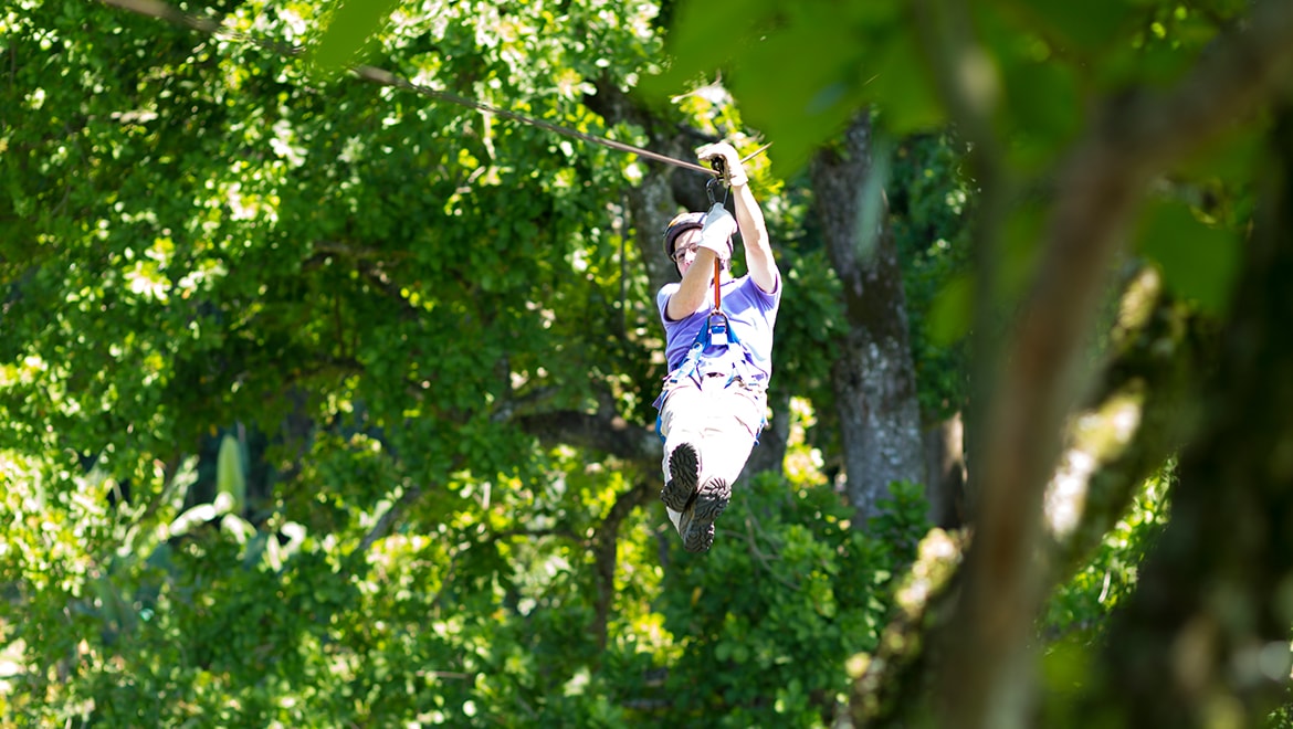 Zip Line 