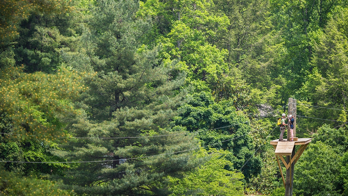 Zip Lining 