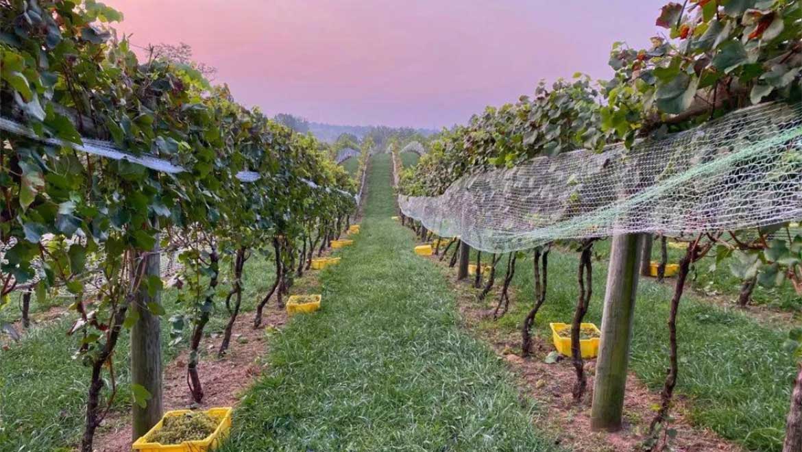 Winery