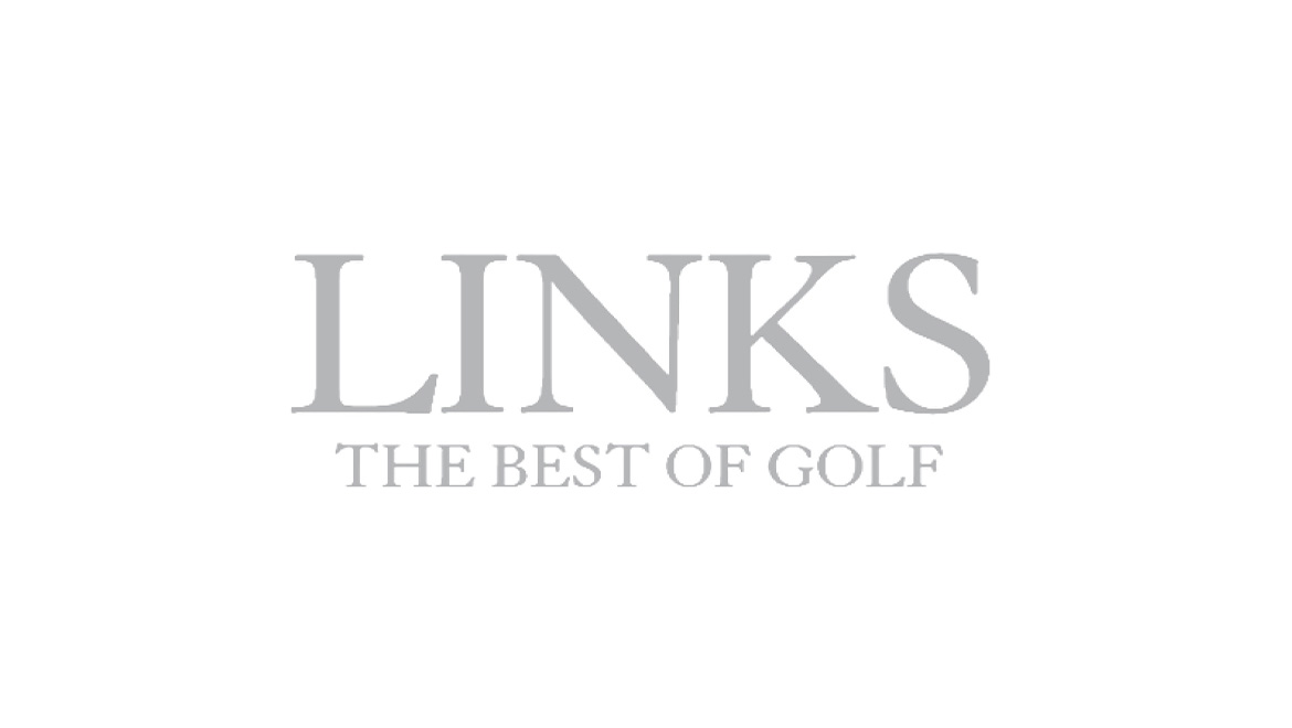 link logo
