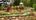Miniature golf in Hot Springs
