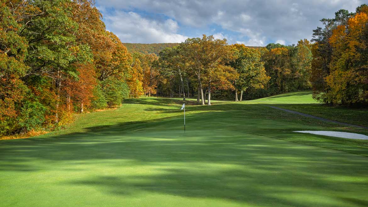Old Course fall trees.
