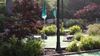 Mini Cascades Miniature Golf