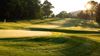 Golf at the Homestead