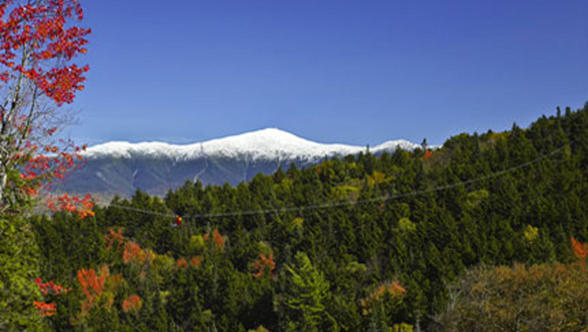 Canopy tour in Bretton Woods