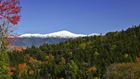 Canopy tour in Bretton Woods