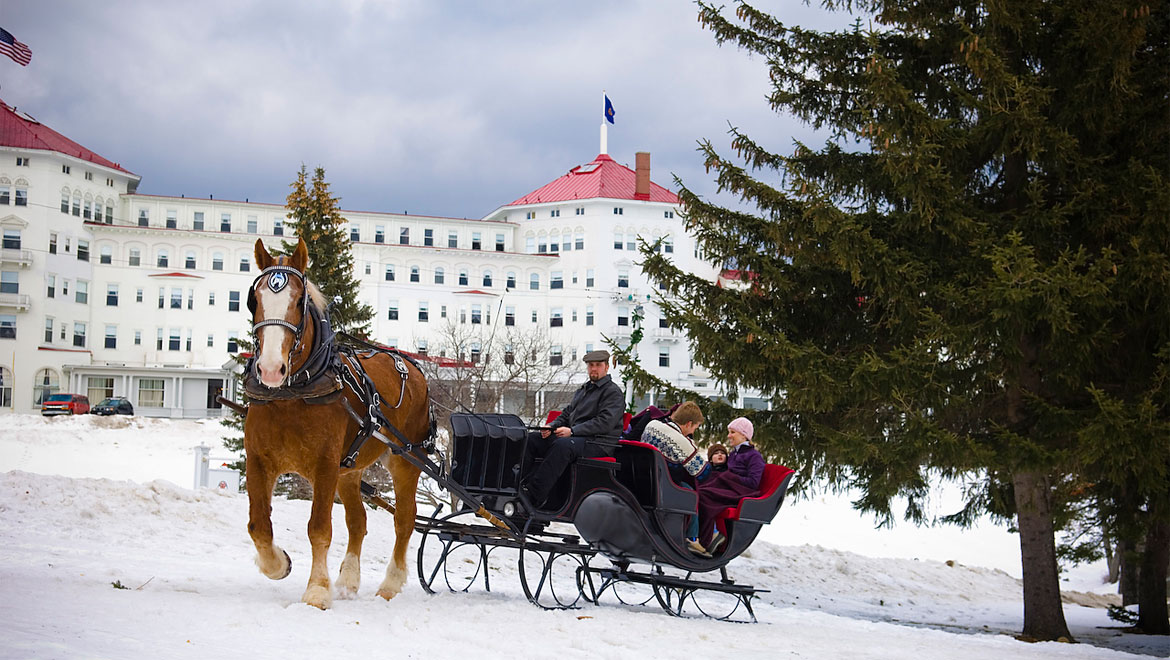 Horse drawn sleigh