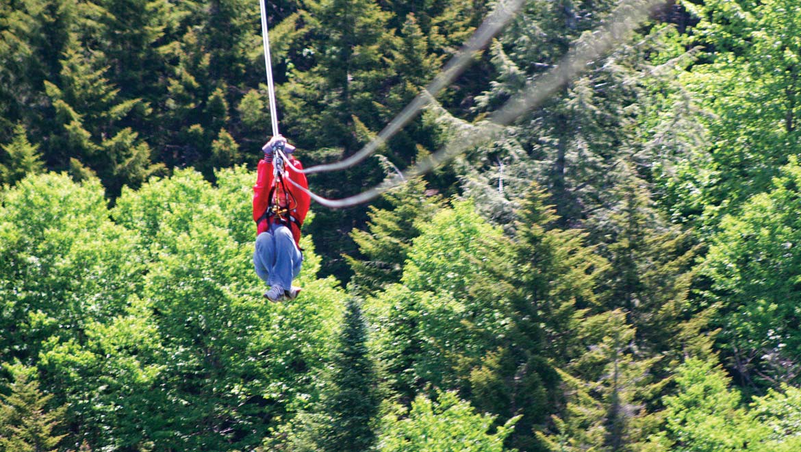 Canopy Tour
