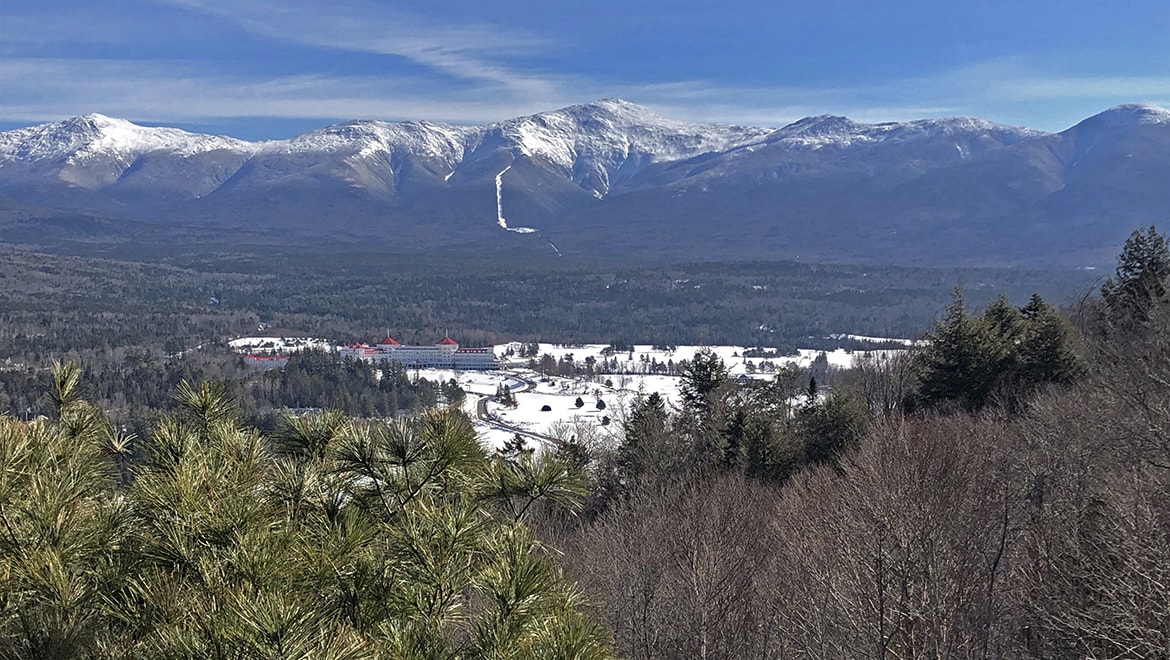 Bretton Woods Canopy Tour