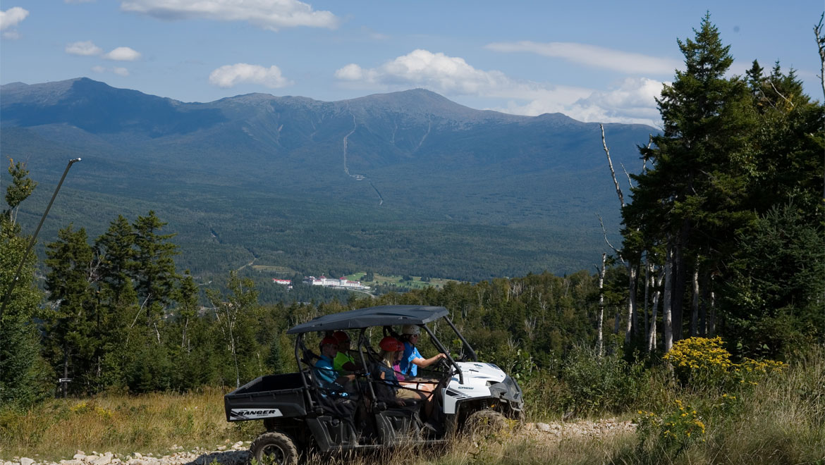 Forest exploration at Mount Washington 