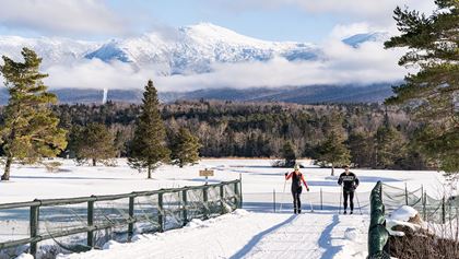 Bretton Woods alpine skiing