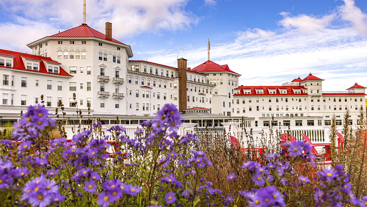 flowers blooming hotel exterior