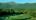 Golf course at Mount Washington