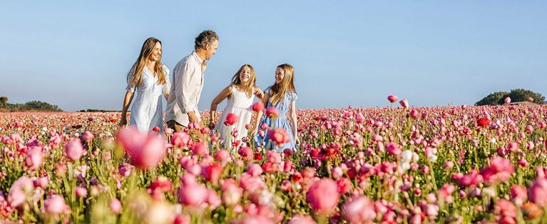 Spring Somewhere New