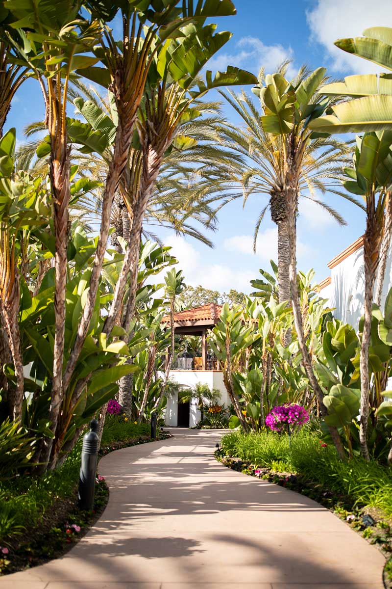 Garden walkway with a hut.