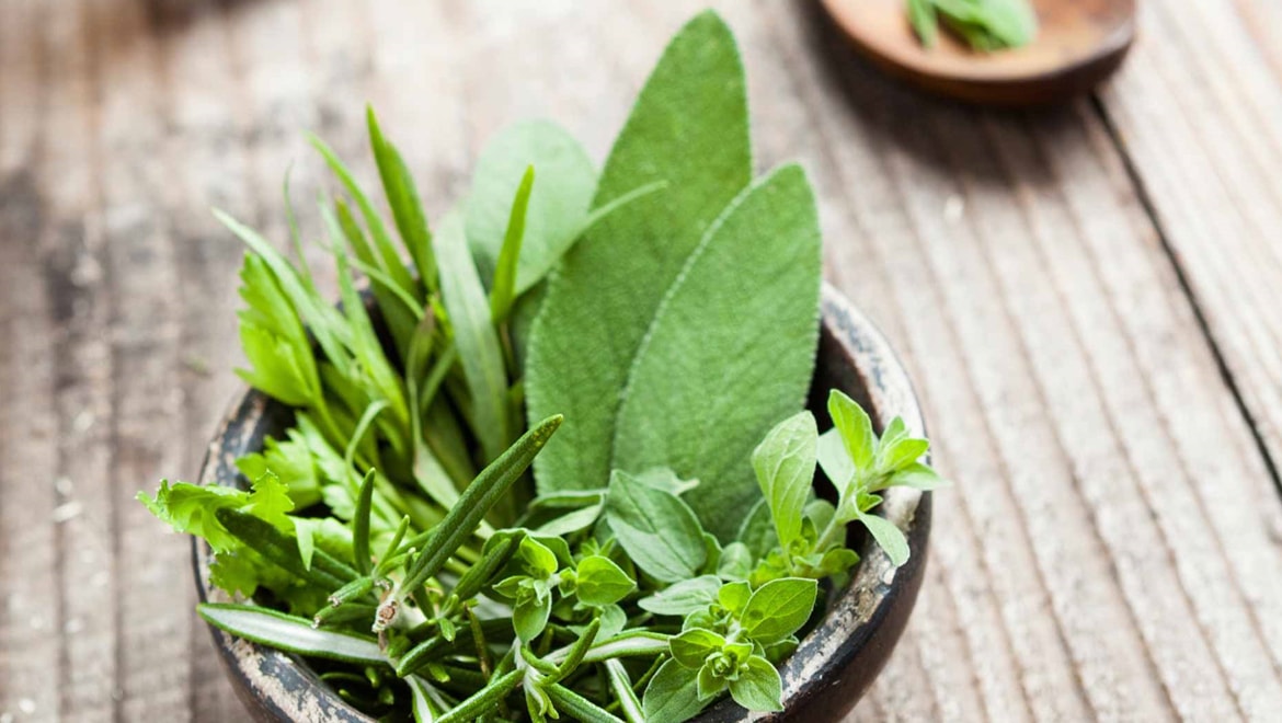 Omni Scottsdale Naturopathic Services