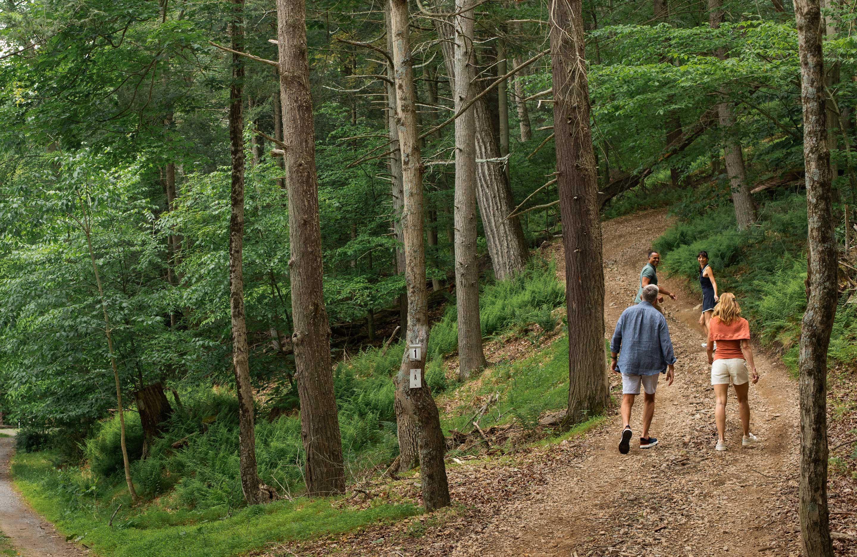 People hiking on wooded trail.